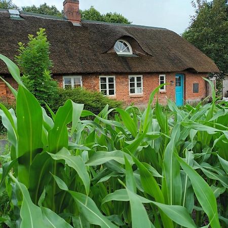Dat Ole Fischerhus Stedesand Zewnętrze zdjęcie